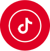 tiktok icon