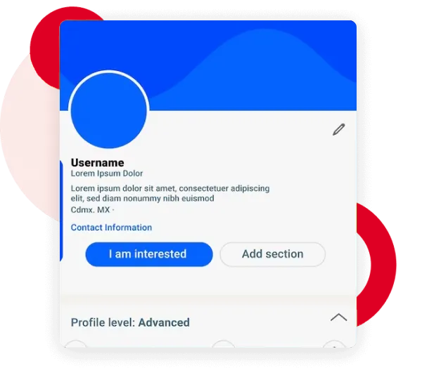 LinkedIn Advance Level Profile