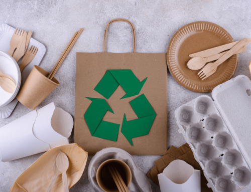 Top 10 Digital Marketing Strategies for Sustainable and Eco-Friendly Brands